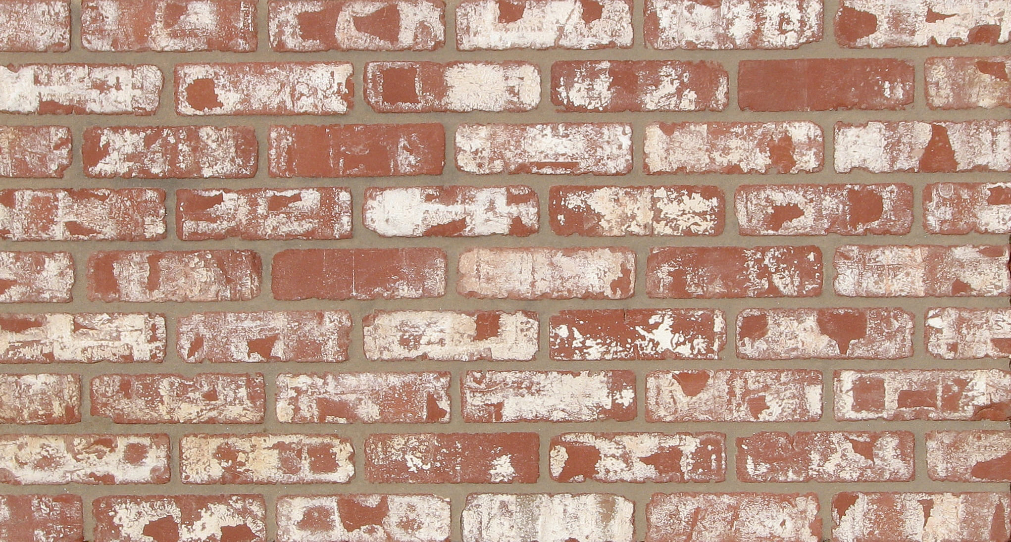 Balboa — McNear Old California Face Brick Cropped color option