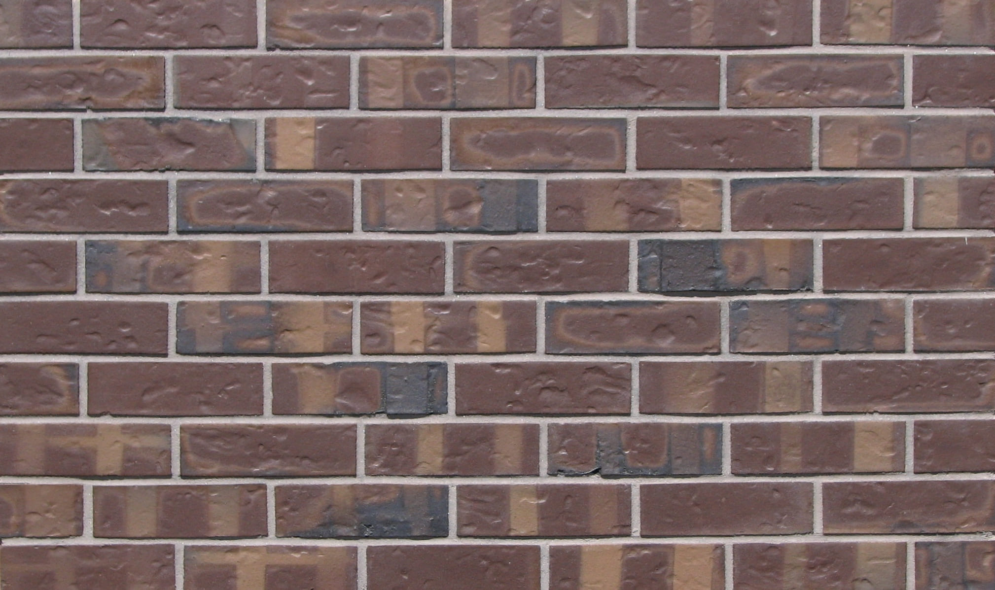 Santa Cruz — McNear Town Face Brick Cropped color option
