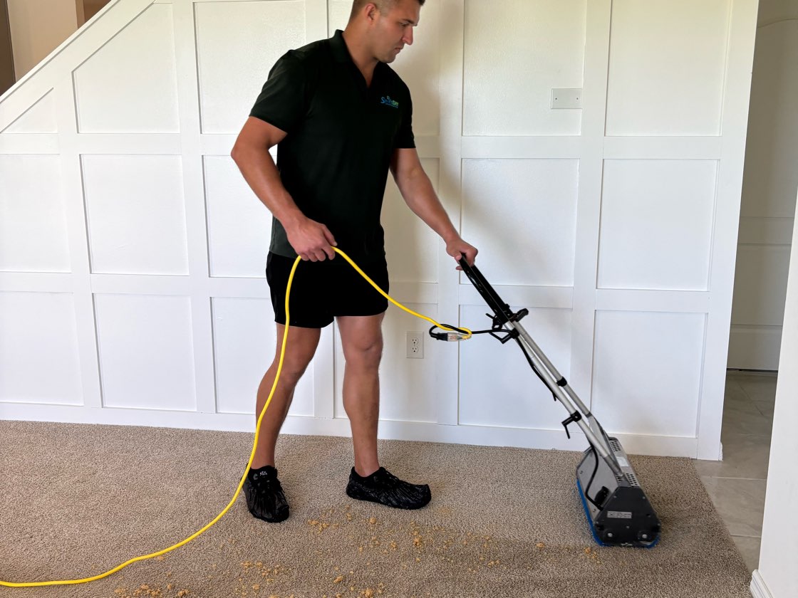 A Swift Dry technician brushing dry cleaning compound into a carpet, with no water on the floor