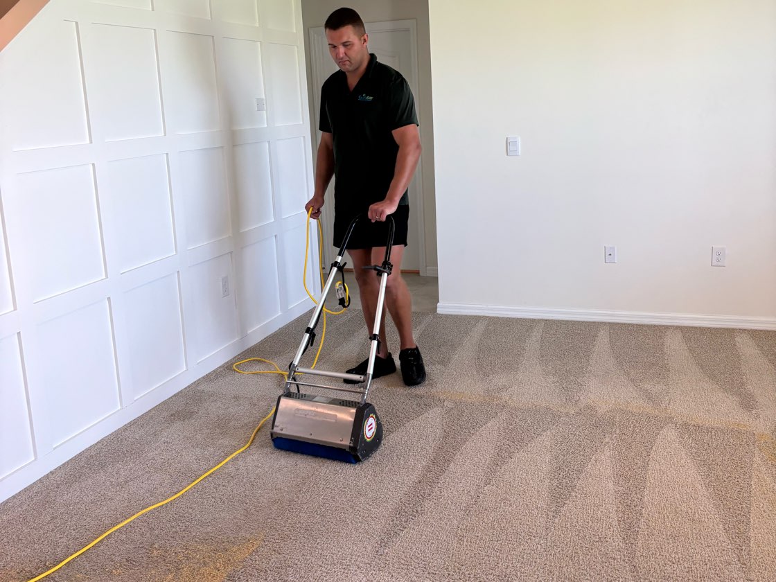 A freshly cleaned carpet with brush lines, a Swift Dry technician running the machine behind