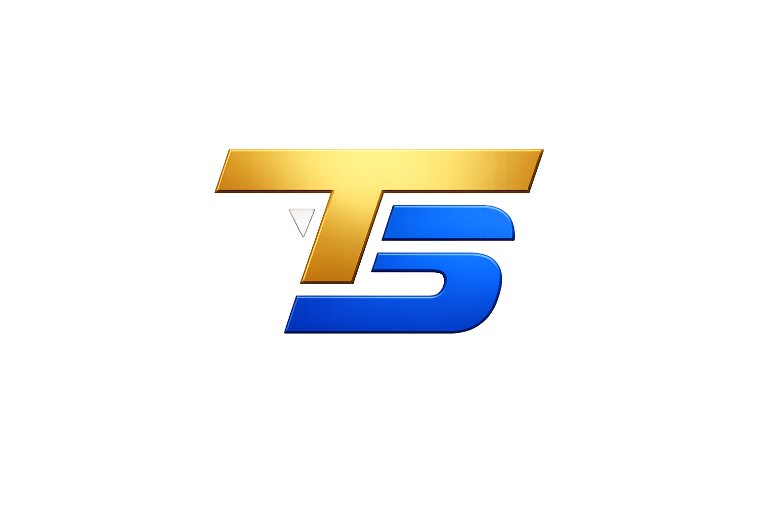 True Standard Fitness Co.