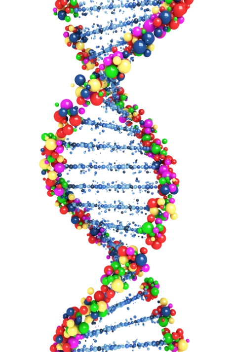 Mana Practice DNA Tests