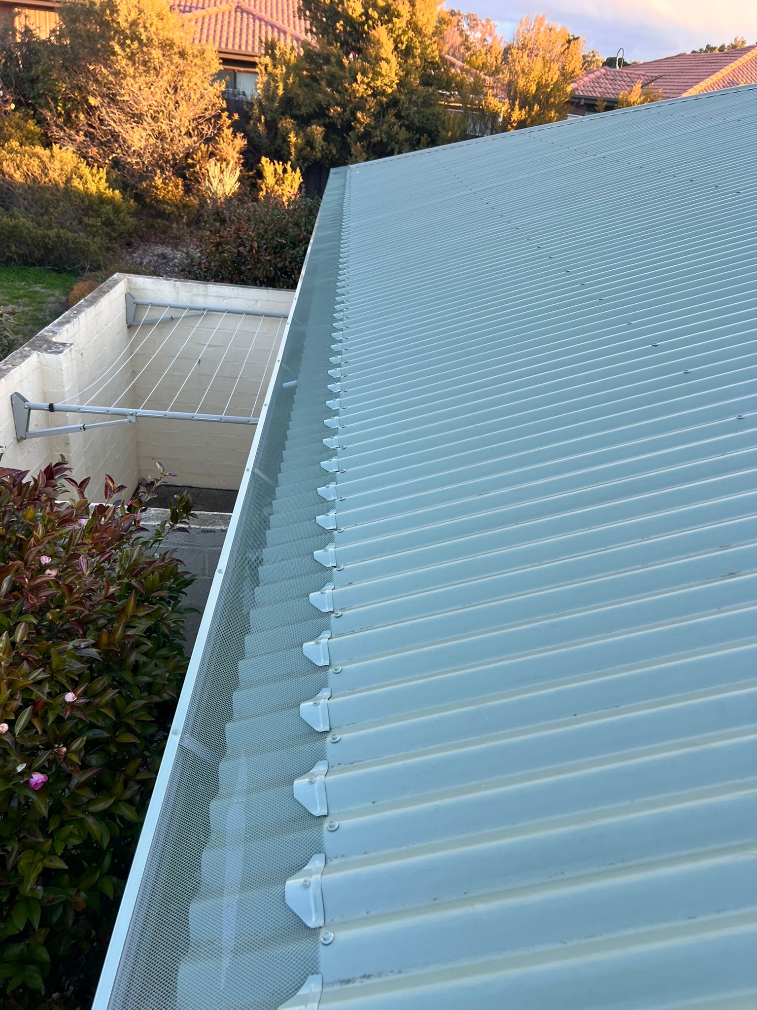 Pale Eucalypt Colorbond Roof Gutter Guard Installation