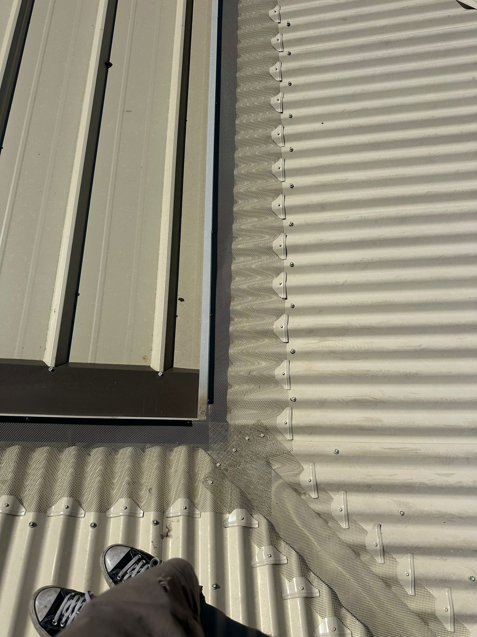 Classic Cream Colorbond Roof Gutter Guard Installation