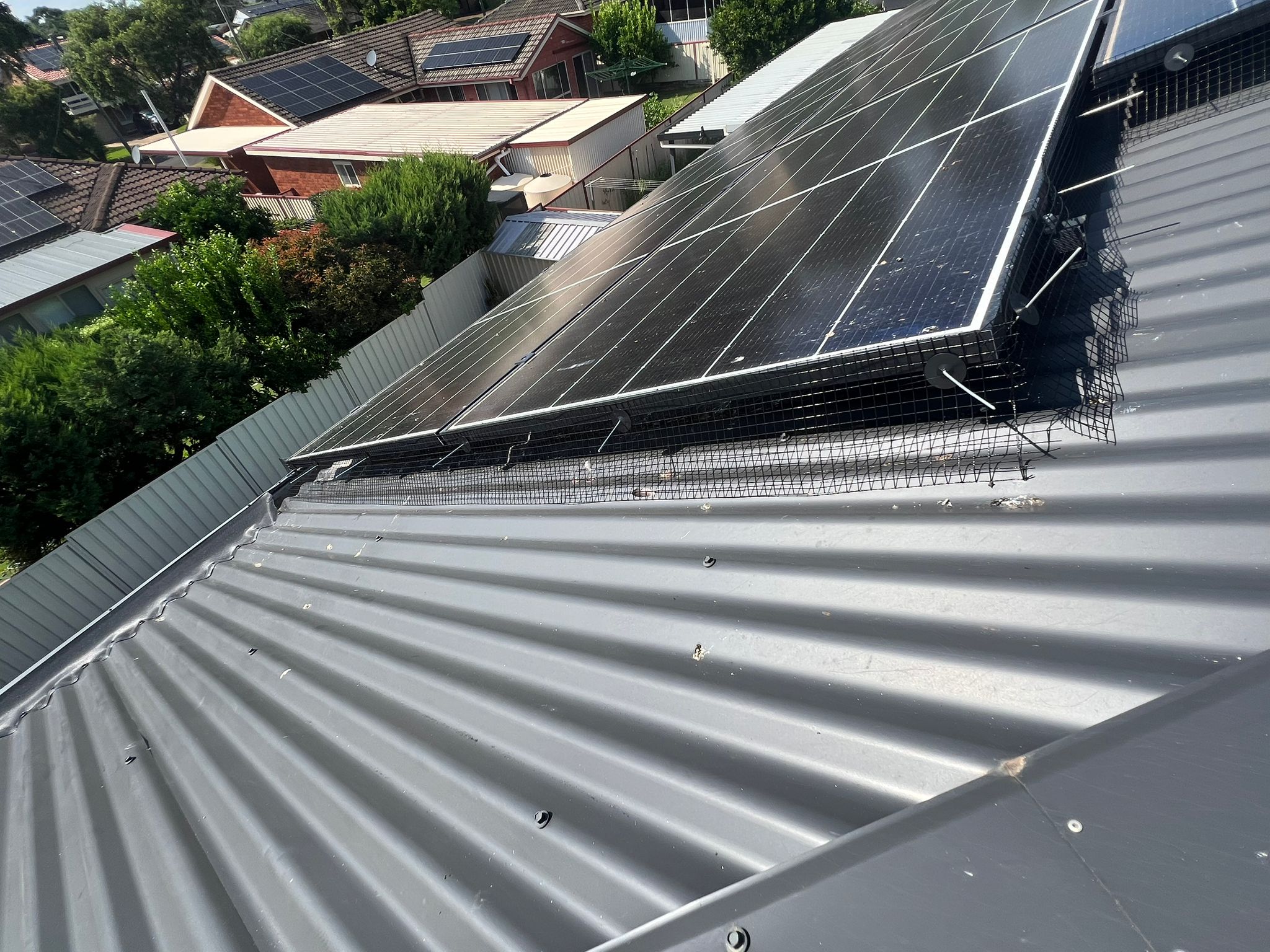 Solar Panel Bird Proofing Mesh South Penrith NSW