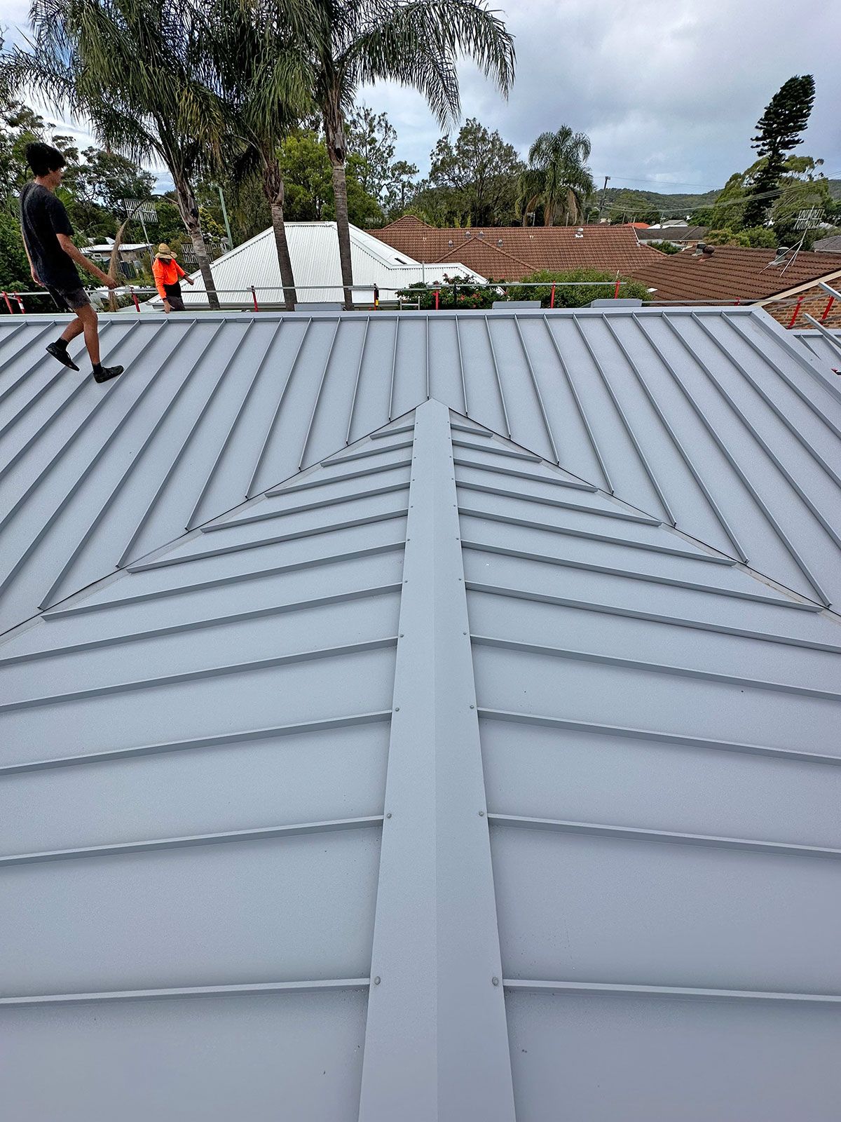 Bluegum Colorbond Roof Gutter Guard Installation