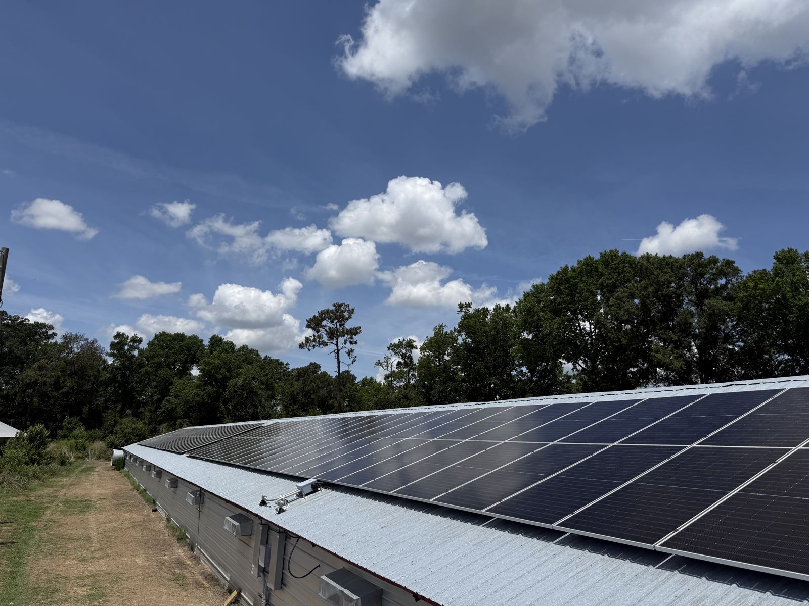 Roof mount solar panels on poultry farm