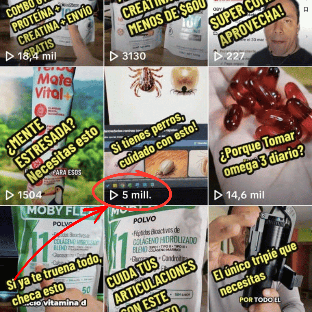 Vistas acumuladas en TikTok