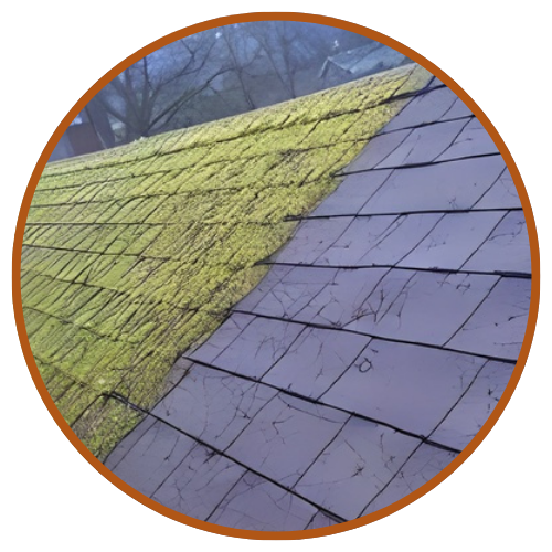 Painting Services | home Painting