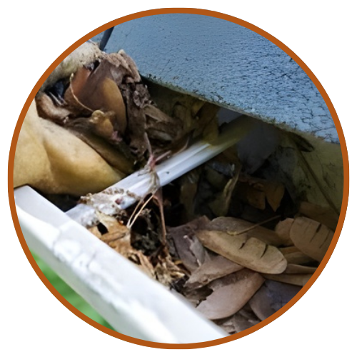 Flooring Services | Flooring Installation