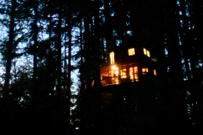 Night sky from treehouse terrace