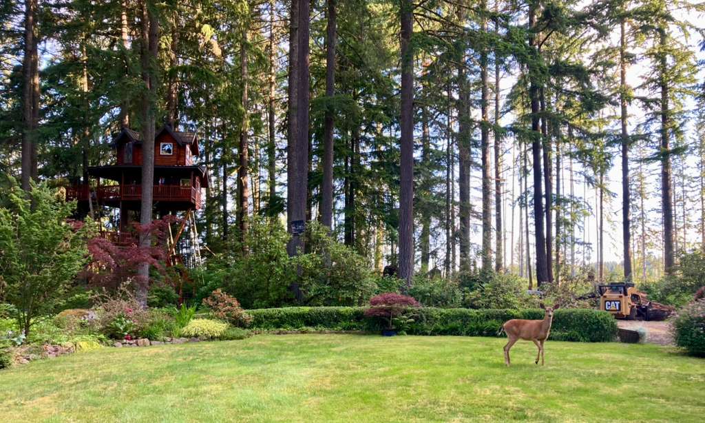 Nature integration