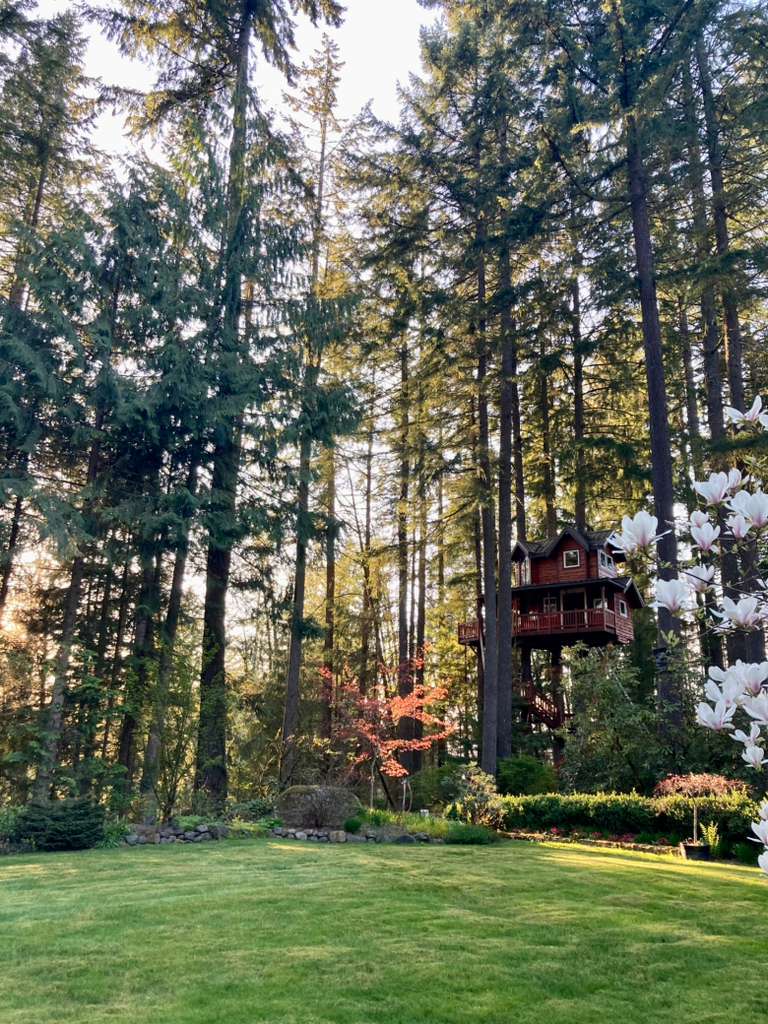 Treehouse structure
