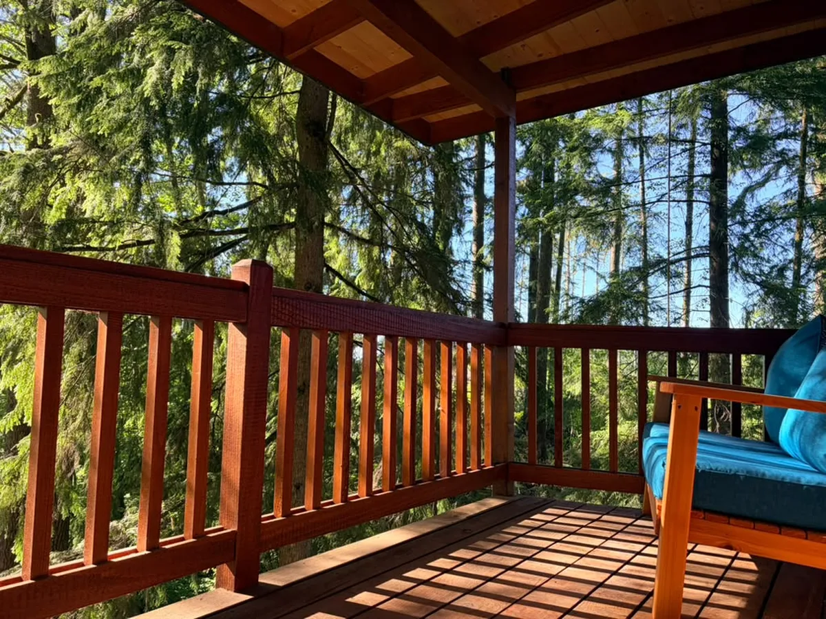 Elevated terrace among trees