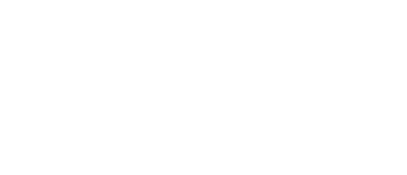 Brainy Brands
