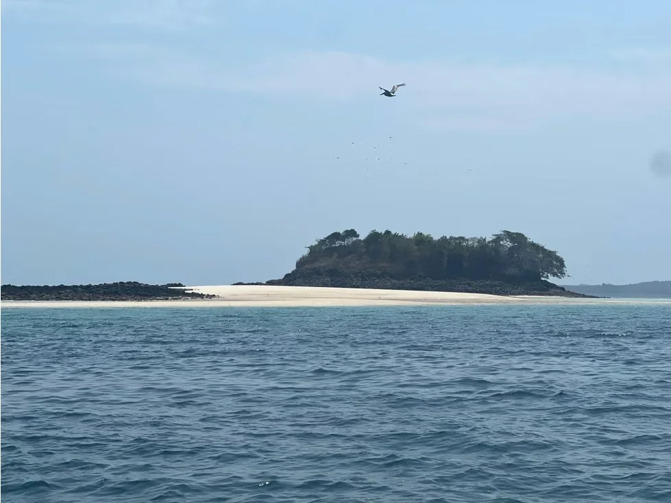 Isla Caracol — photo 5
