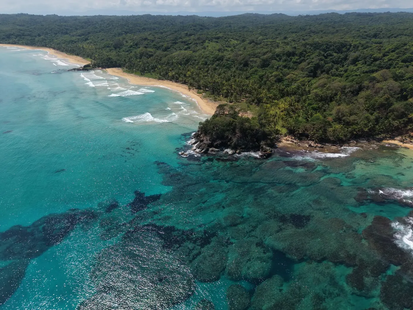 Aerial view of the Cocuyé forest meeting the reef and sandy beach