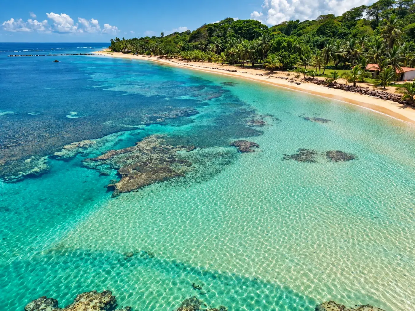 Aerial view of turquoise shallows, coral reef and the palm-lined Cocuyé coast
