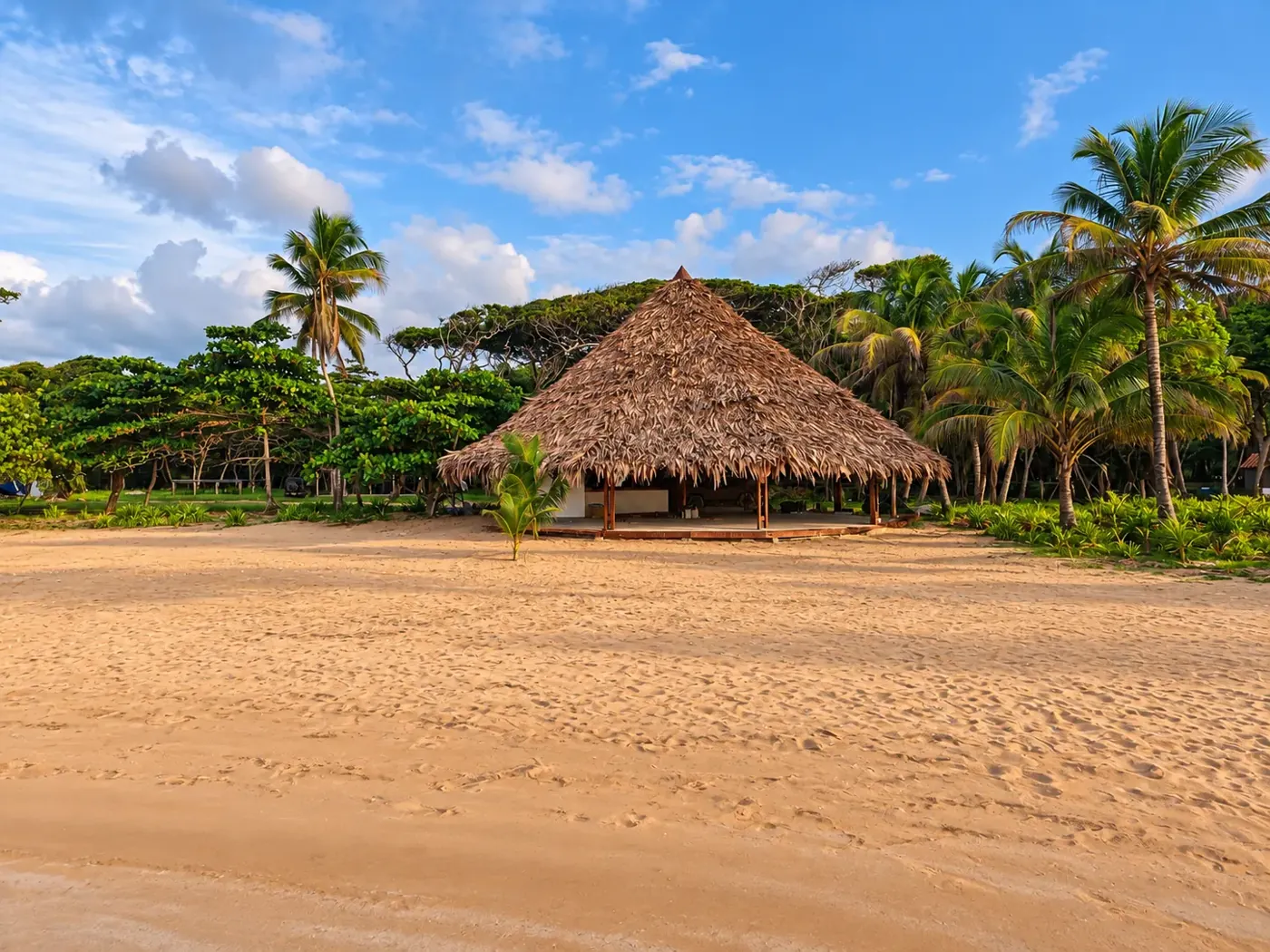 Wide view of the completed beachfront gazebo and surrounding palms