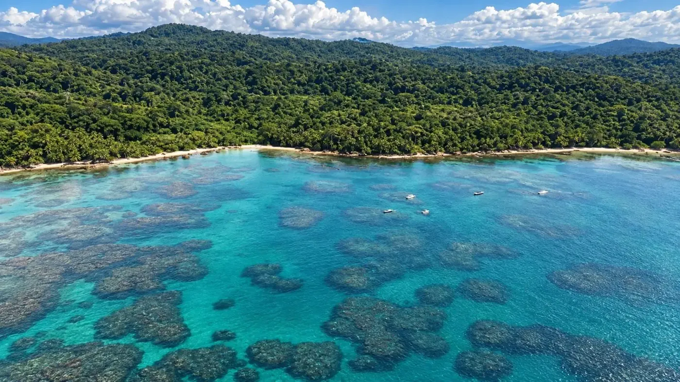 Aerial panorama of forest and coral reef along the Caribbean coast