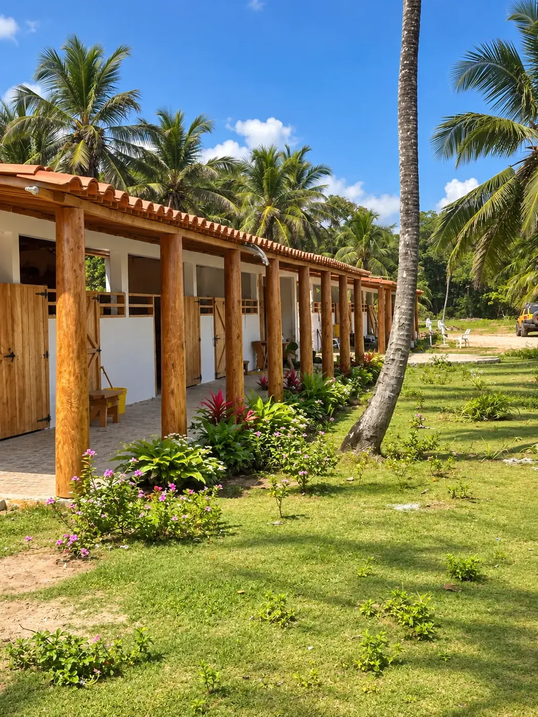 Timber beachfront buildings bordered by palms and garden plants
