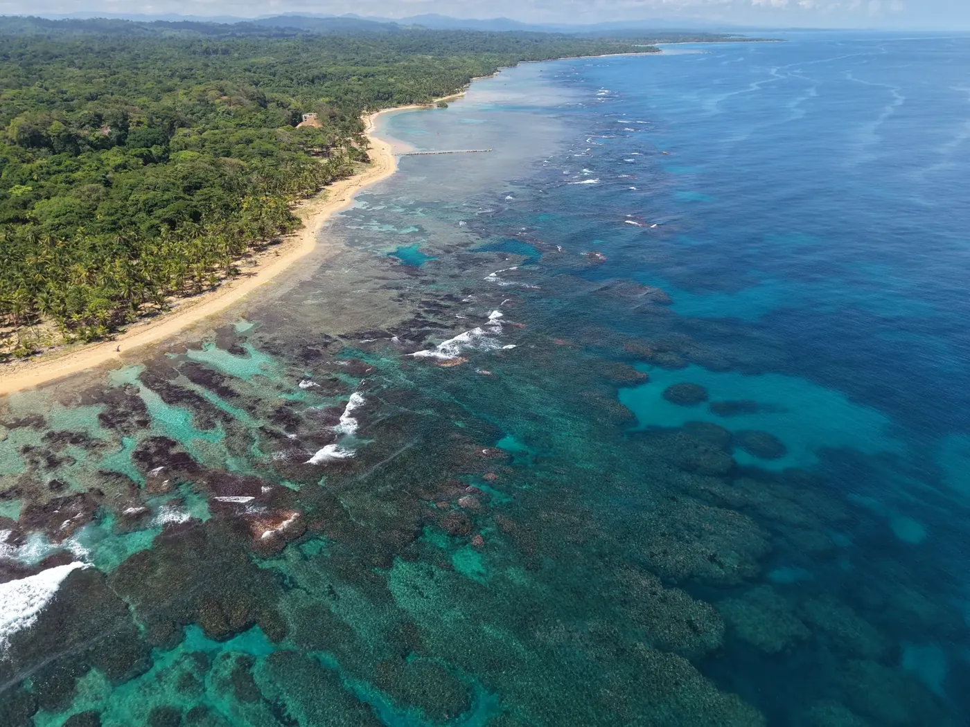 Aerial view of the forested Cocuyé coastline and Caribbean reef