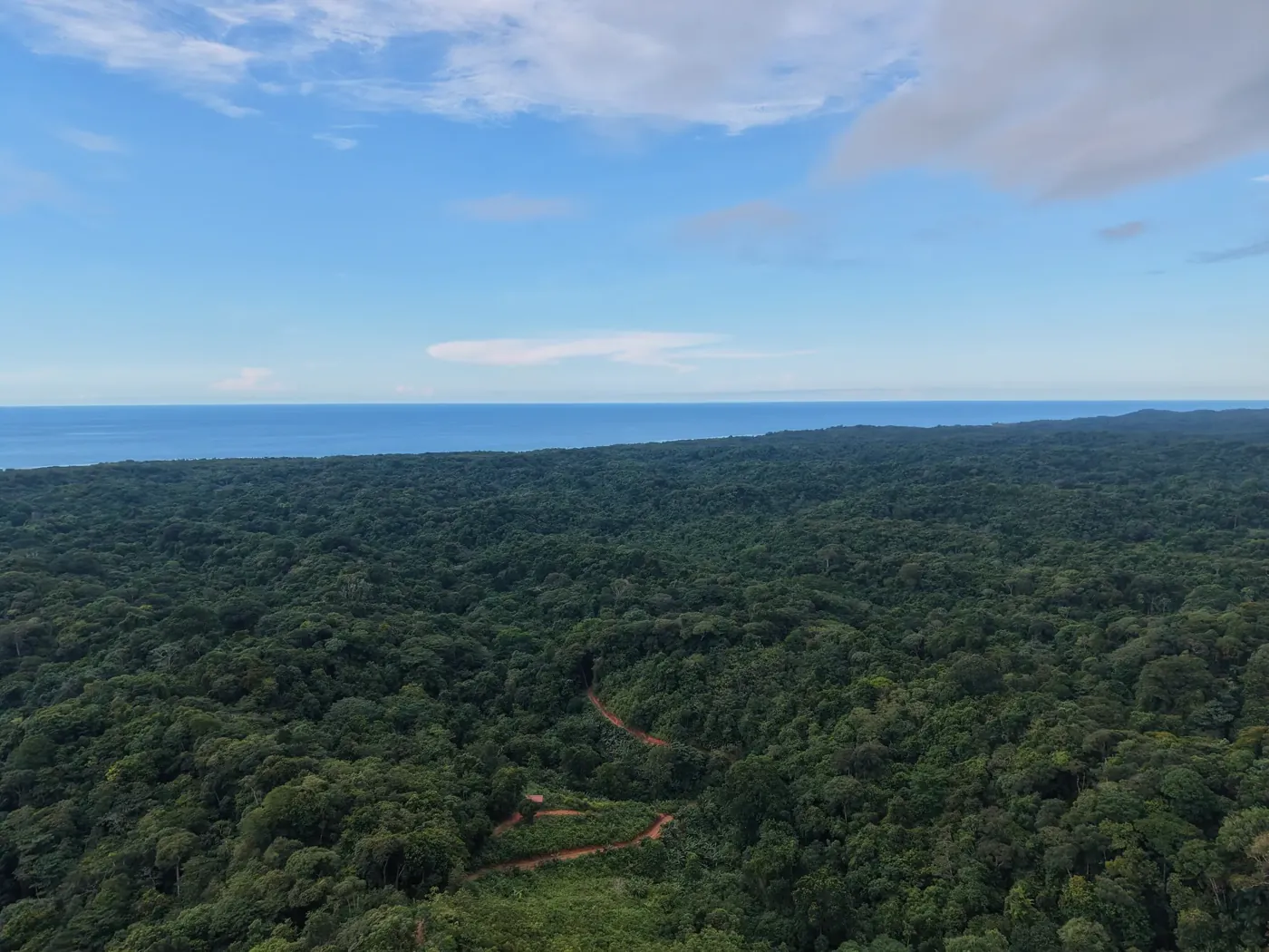 Aerial view of Cocuyé's rainforest canopy, coast and Caribbean Sea