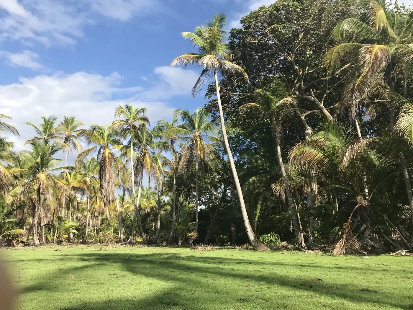 Landscape work on the Cocuyé estate
