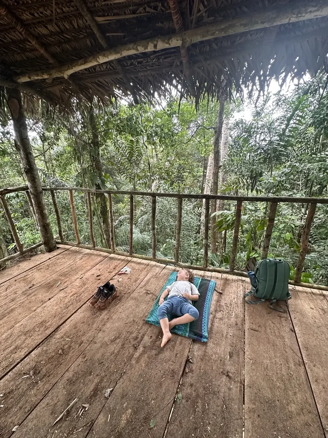 A timber observation deck immersed in the forest