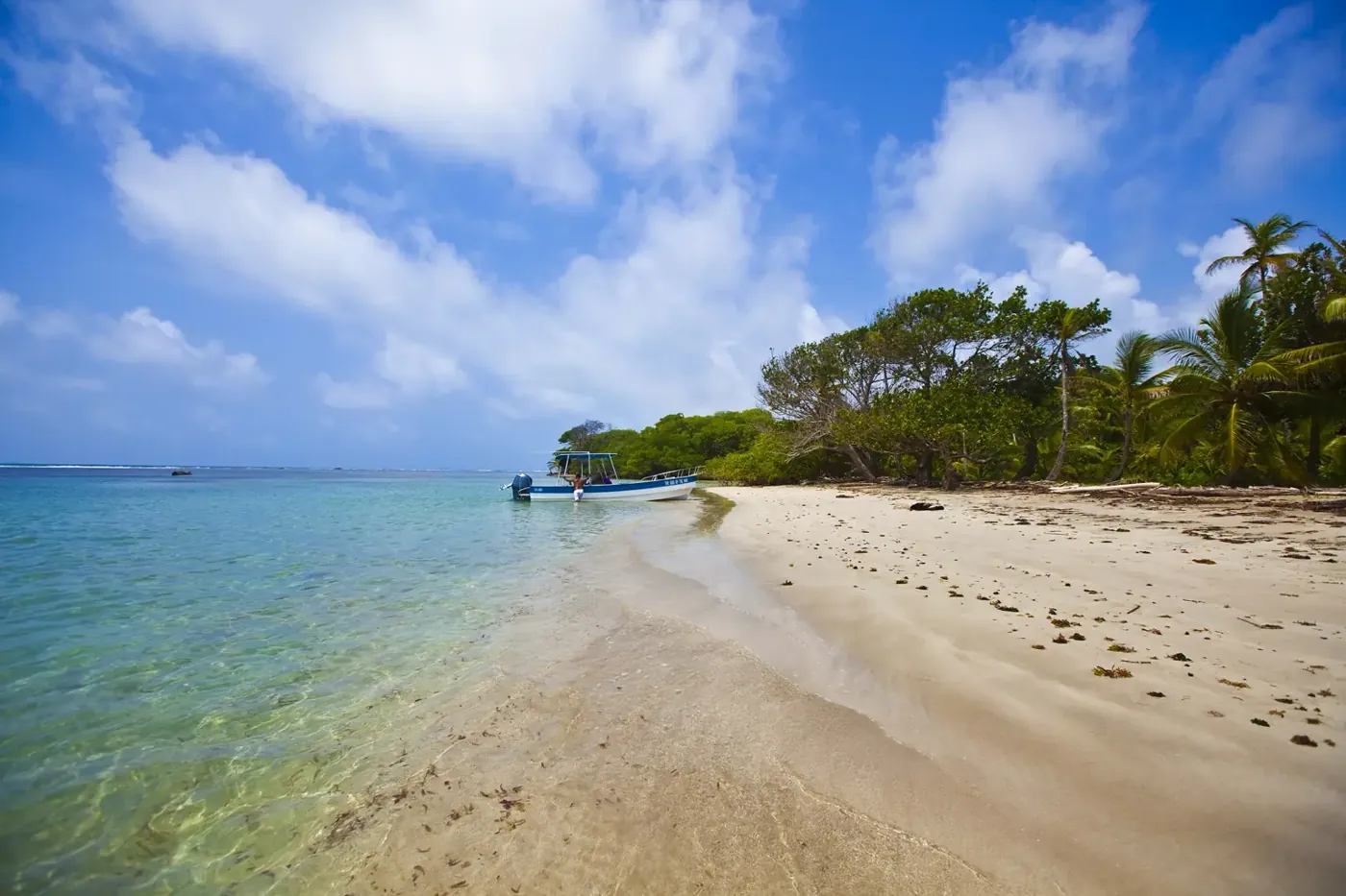 Quiet tropical beach with palms and clear water