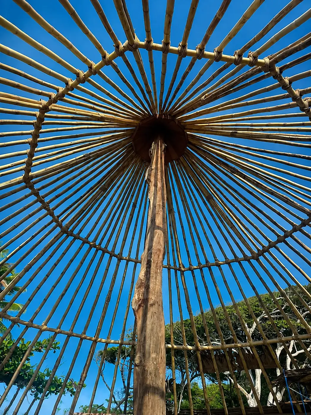 Radial bamboo structure of the gazebo roof seen from below