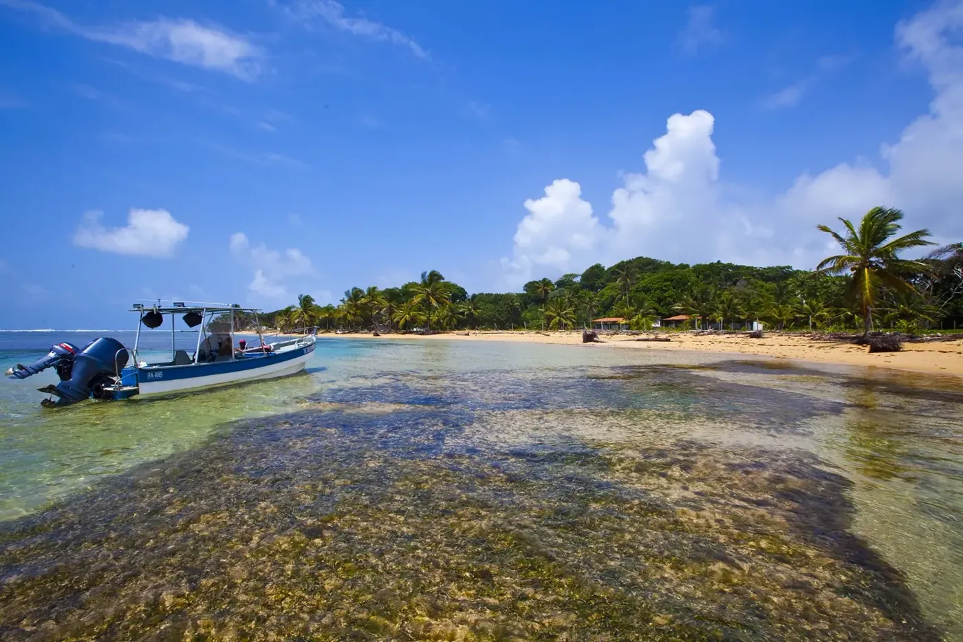Motorboat approaching a palm-lined beach through shallow water