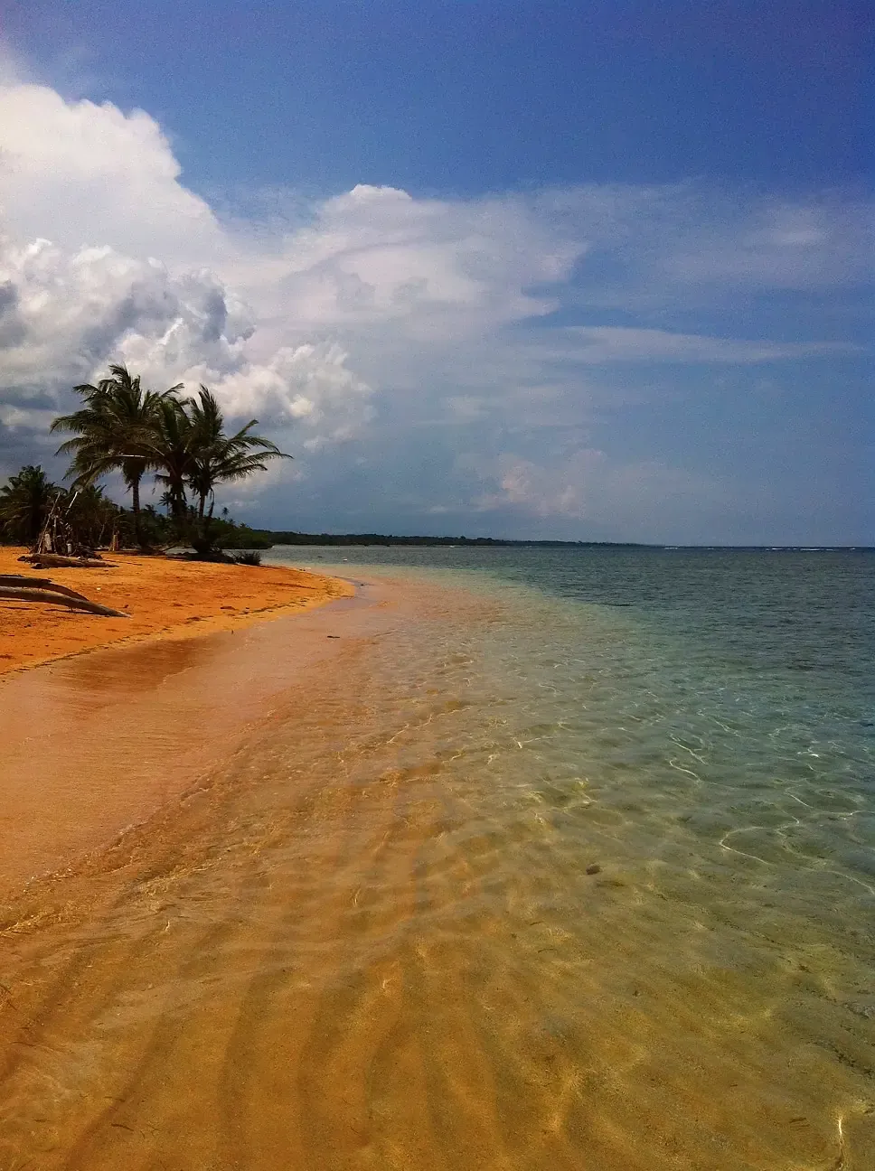Open sea and an undeveloped beach under tropical light