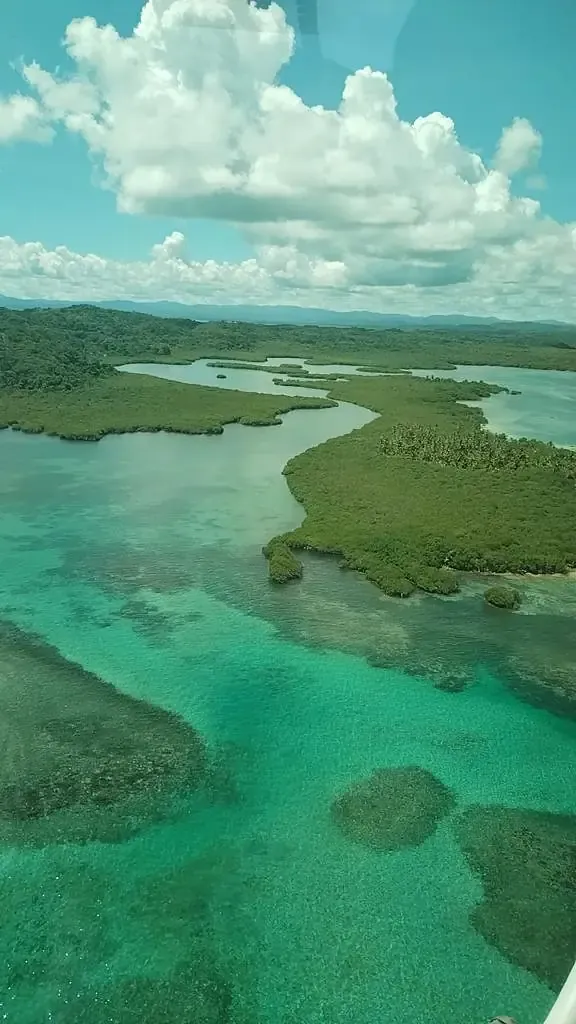 Aerial view of mangrove islets and turquoise water near San Blas
