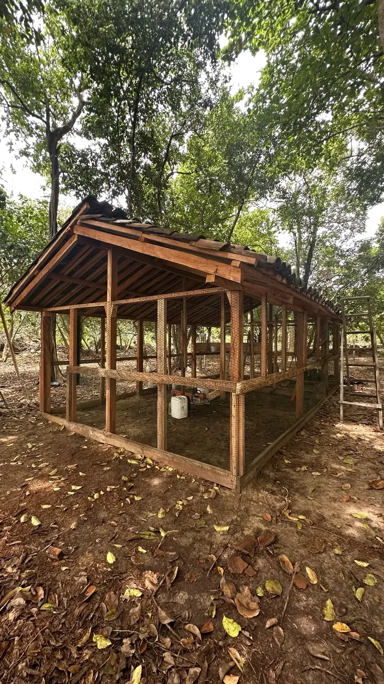The timber chicken coop on the organic estate