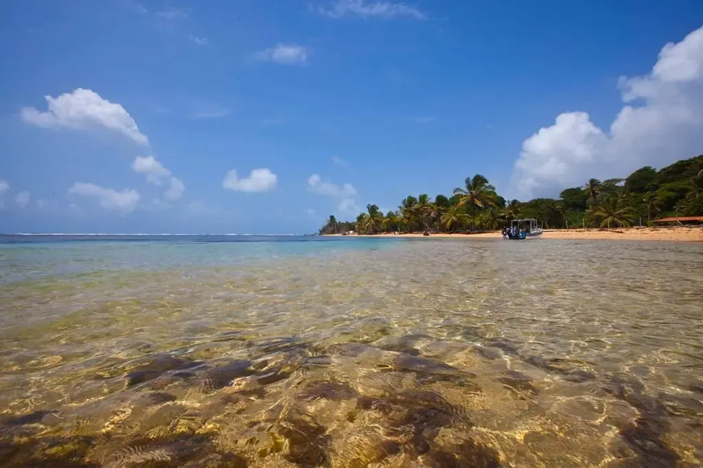A panga anchored in clear shallow water beside the coast