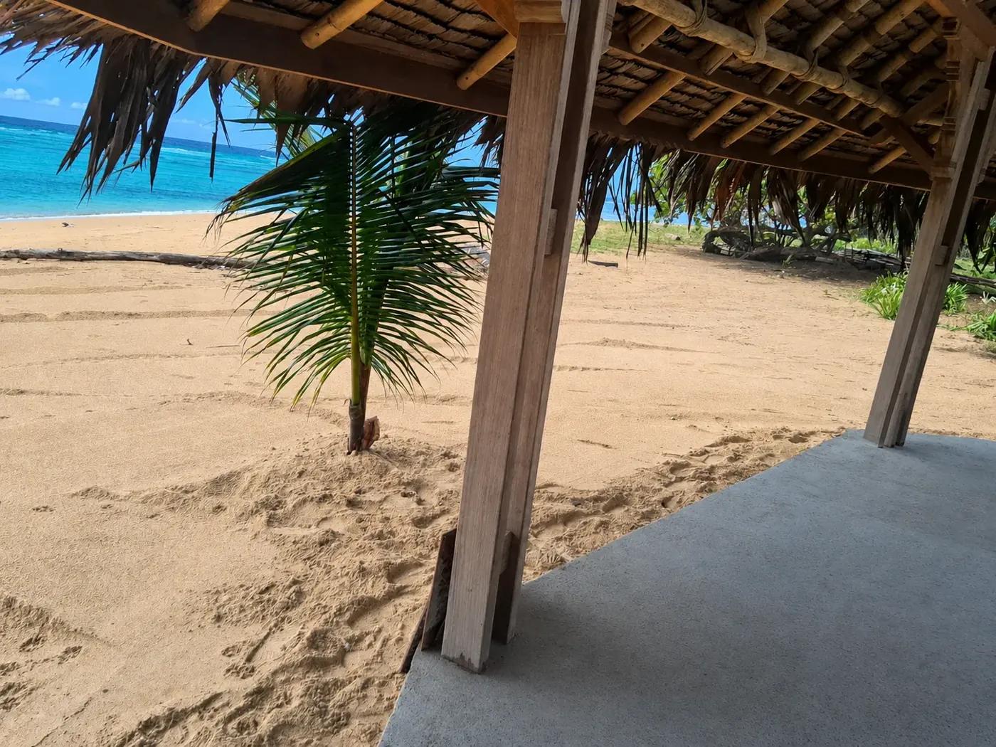 Clean beachfront and Caribbean view from the gazebo at Los Caletones