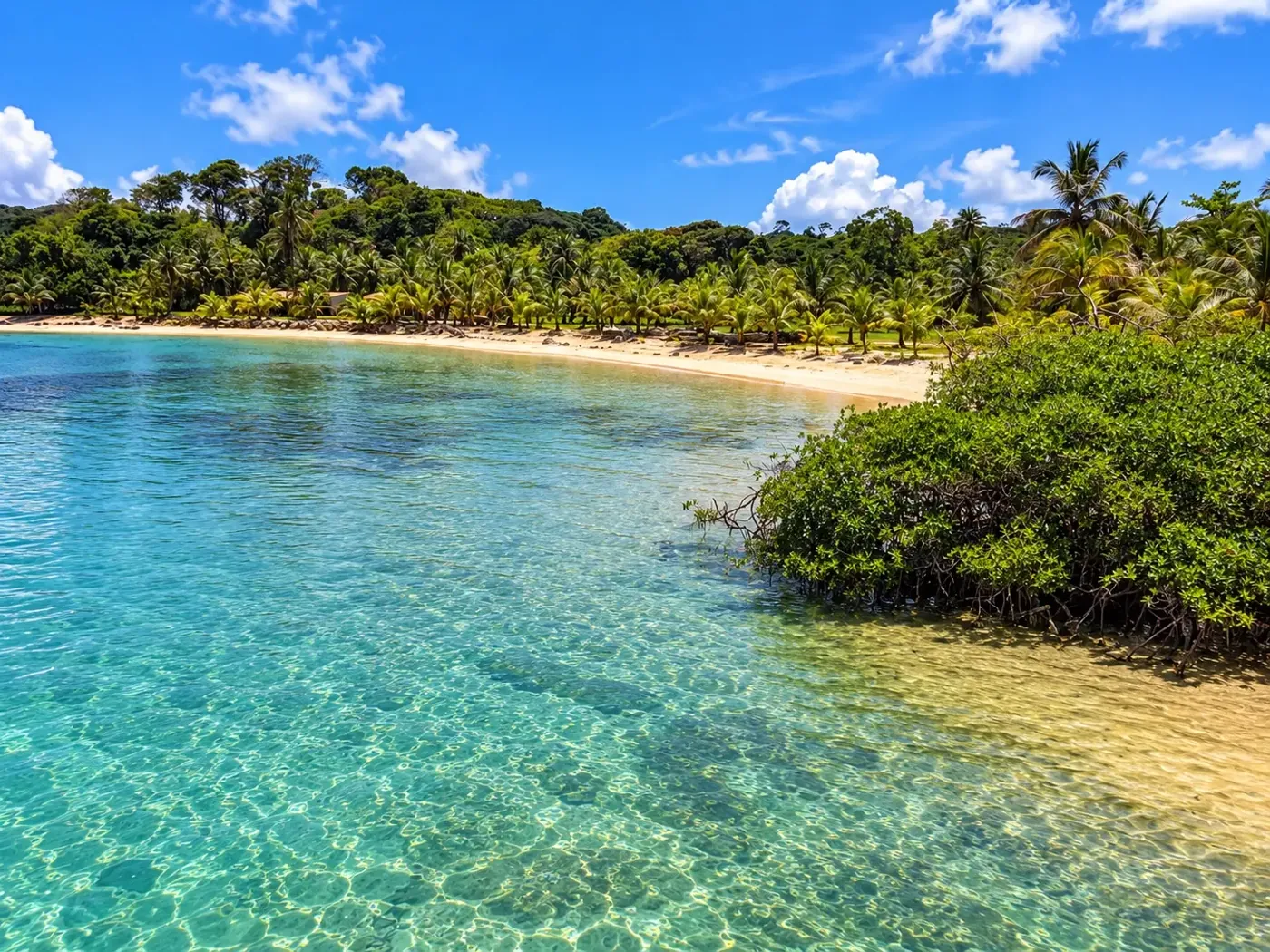 Clear turquoise water and palm-lined beach at Los Caletones
