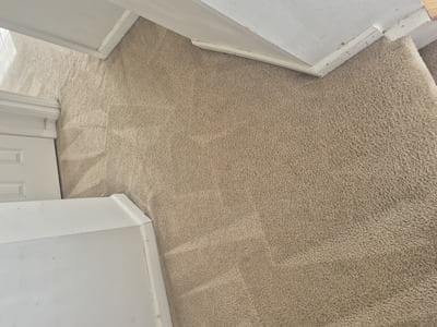 Upholstery cleaning in Davidson