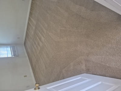 Upholstery cleaning in Charlotte