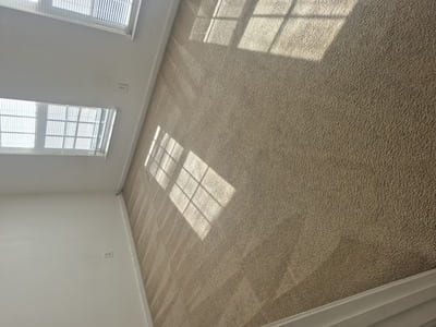 Carpet Cleaning in Charlotte