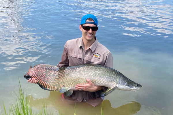 Arapaima Fishing