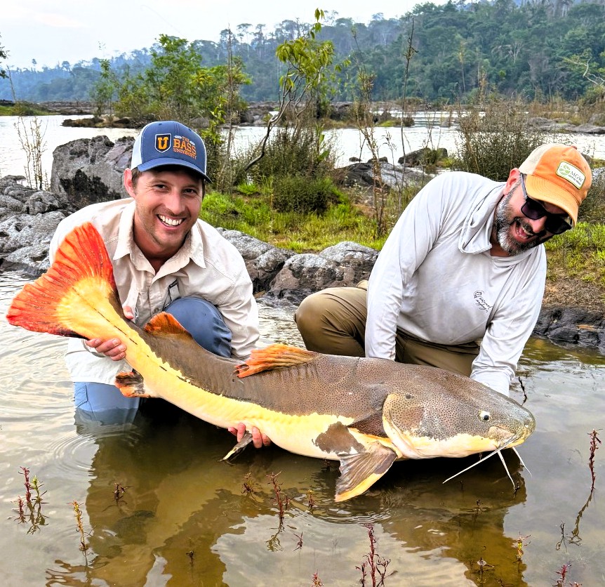 Catfish Fishing