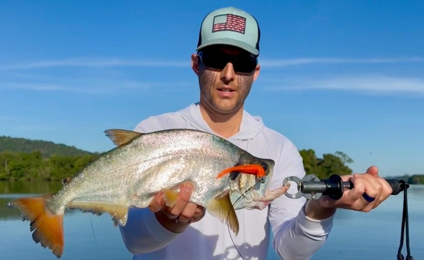 Orange Tailed Payara