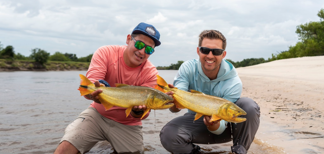 Golden Dorado fishing
