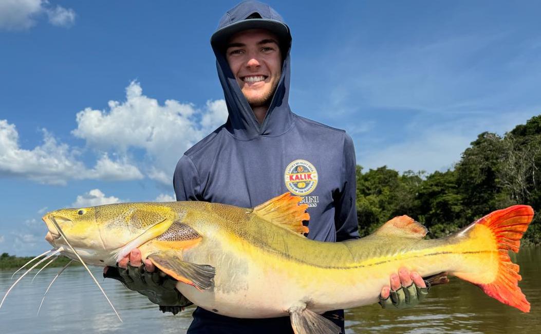 redtail catfish