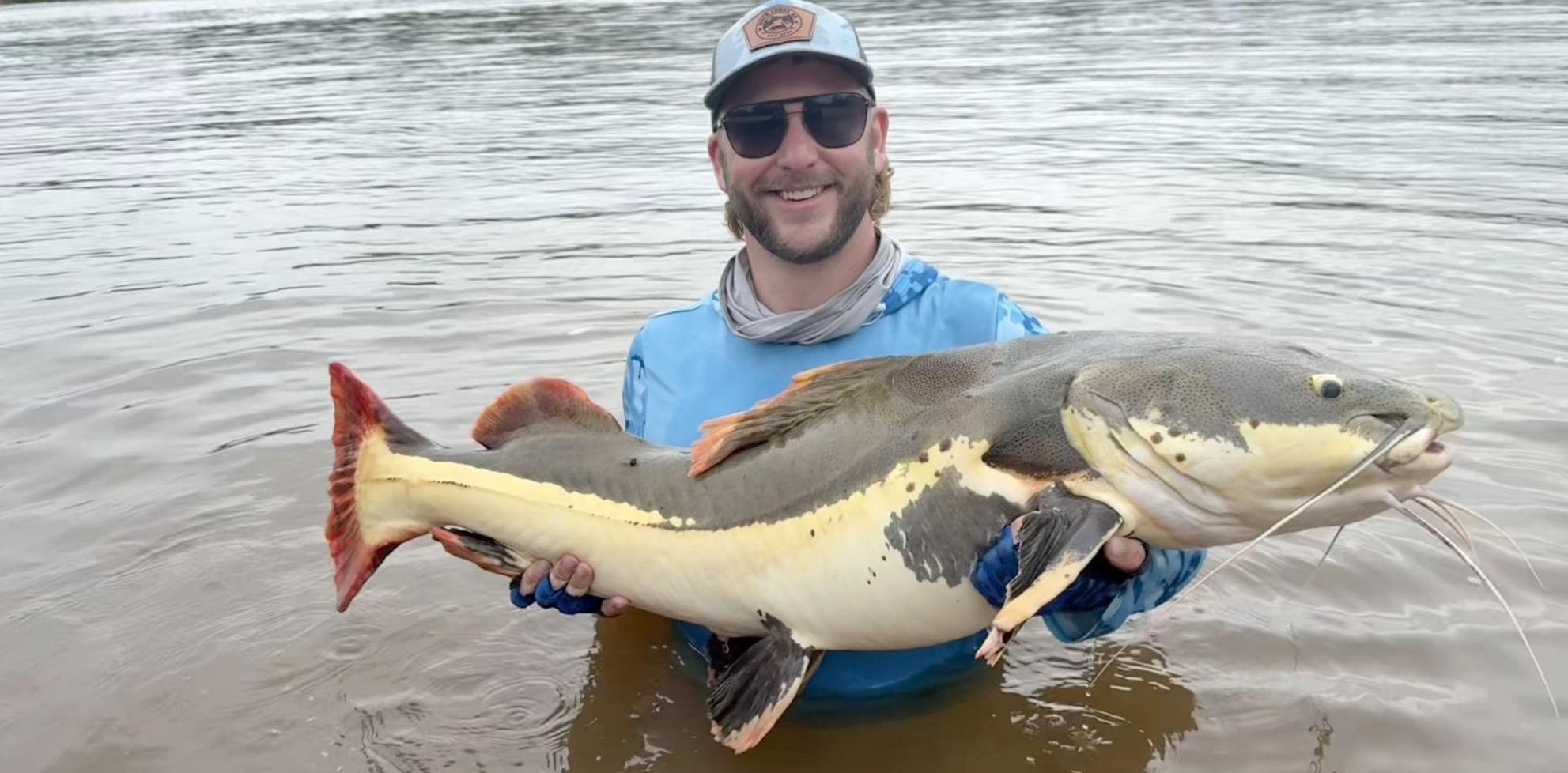 redtail catfish fishing