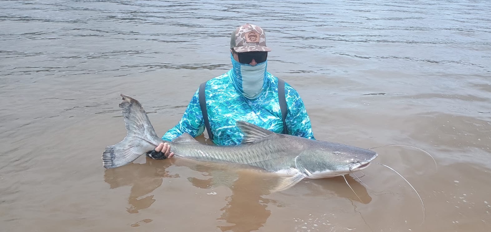 piraiba fishing