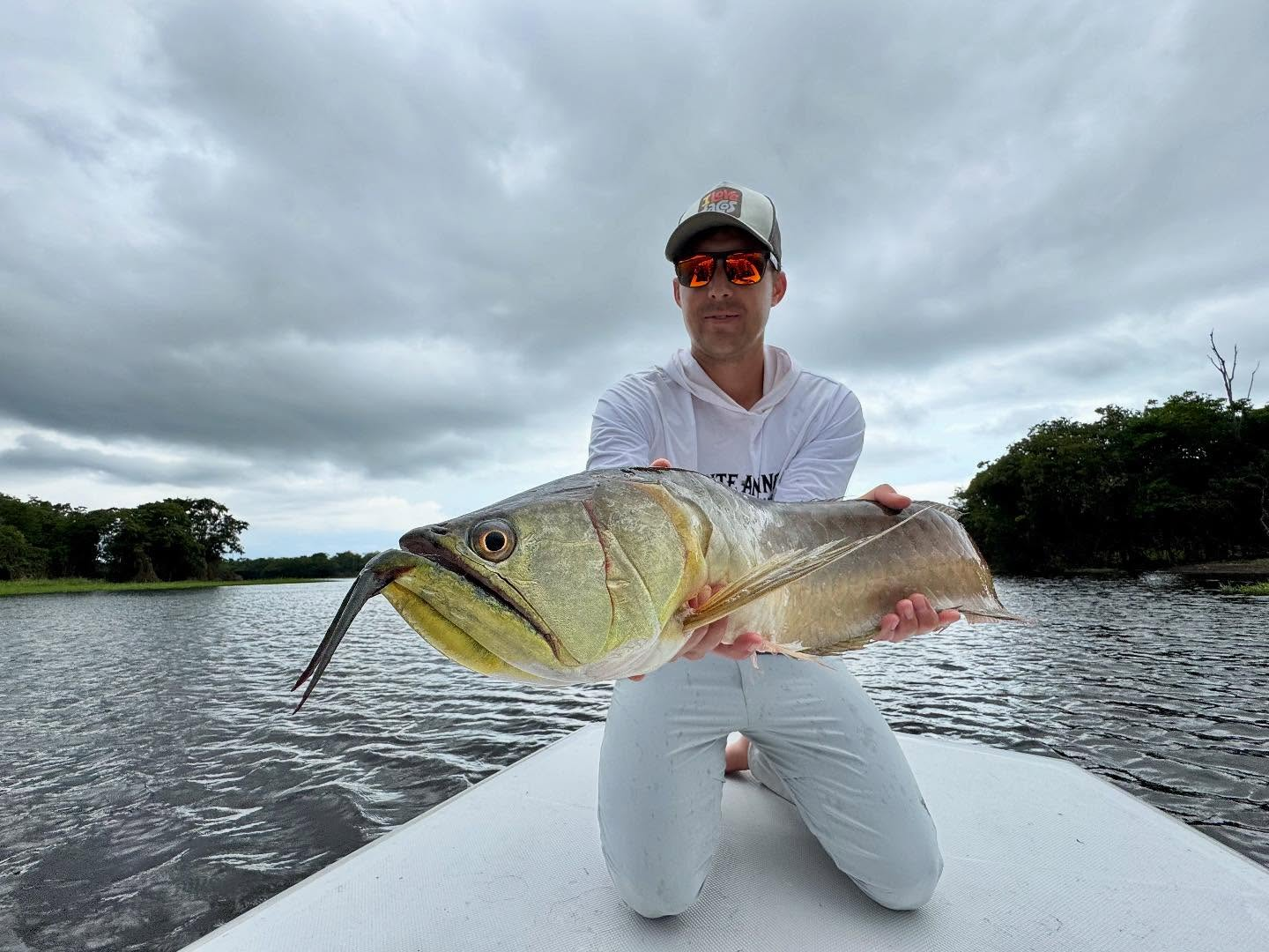 Arowana