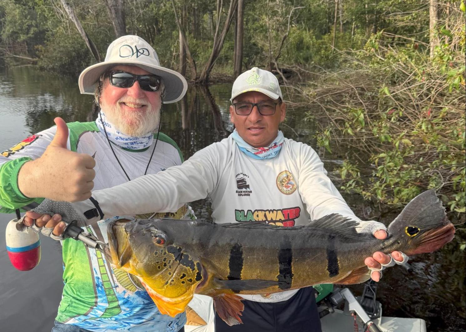 Peacock Bass Fishing